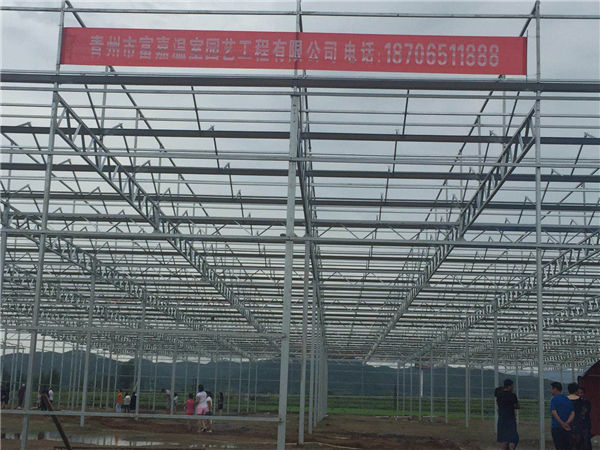 Zhejiang Jiaxing project case