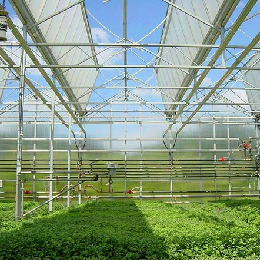 Solar panel greenhouse